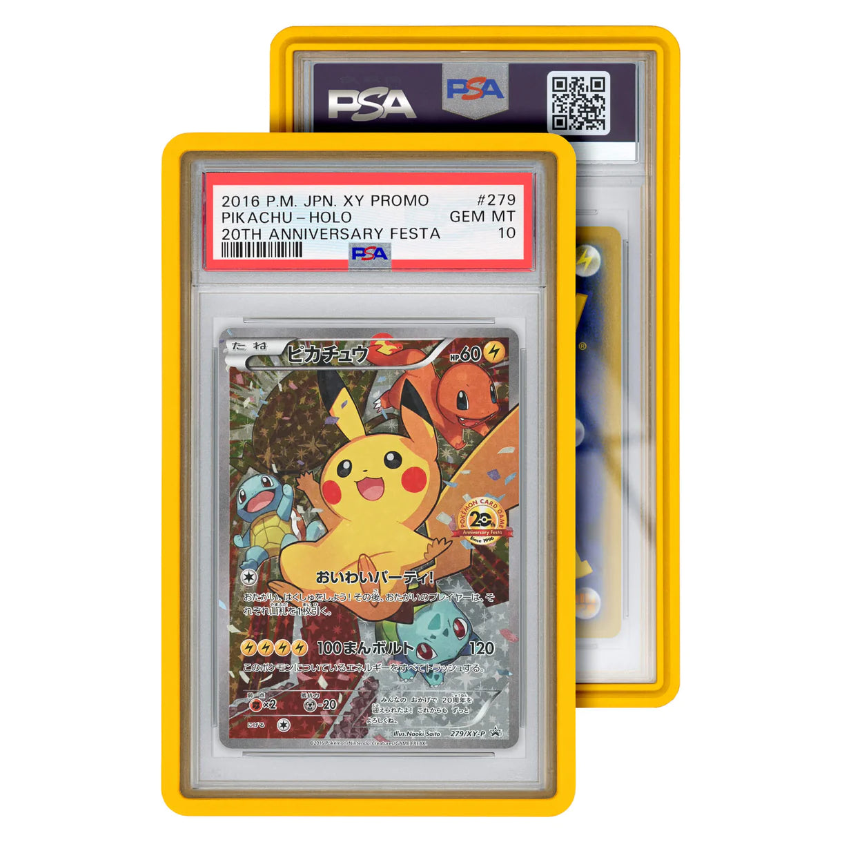 Graded Guard PSA Fit